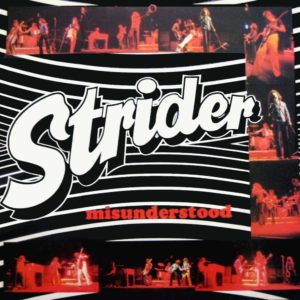 Read more about the article Strider – Misunderstood [1974]